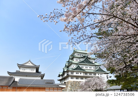 春の名古屋城 春の名古屋城 124738506