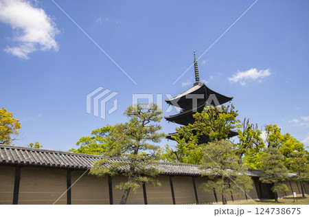 東寺 五重塔 124738675
