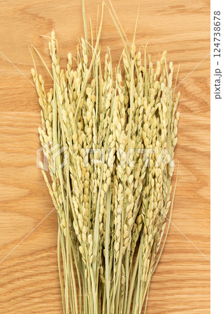 お米の稲穂 124738678