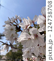 広島城 124738708