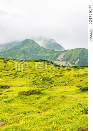 天狗平と奥大日岳（室堂平からの眺め）北アルプス剱岳登山 124739170
