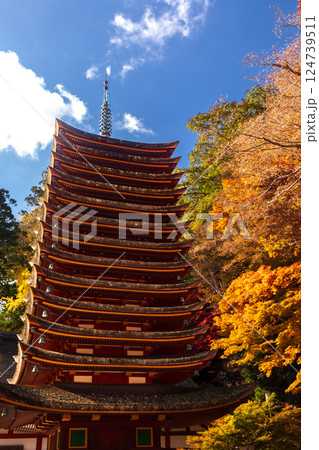 紅葉の談山神社の十三重塔（重要文化財） 124739511