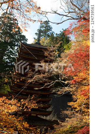 紅葉の談山神社の十三重塔(重要文化財) 紅葉の談山神社の十三重塔(重要文化財) 124739561