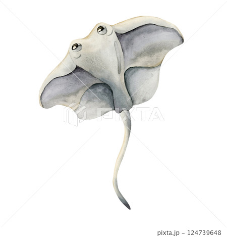 Cute Stingray. Sea marine animal. Ocean inhabitant. Adorable underwater world creature watercolor hand painted illustration isolated on white background for kids nursery wall decor sticker baby shower 124739648