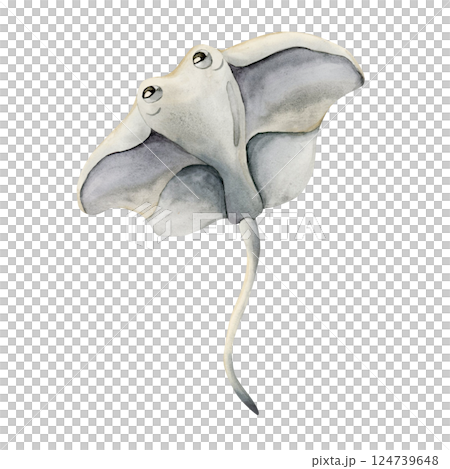 Cute Stingray. Sea marine animal. Ocean inhabitant. Adorable underwater world creature watercolor hand painted illustration isolated on white background for kids nursery wall decor sticker baby shower 124739648