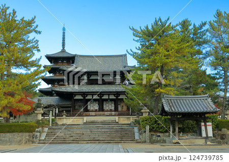 世界遺産　聖徳宗総本山法隆寺西院伽藍　中門と五重塔 124739785