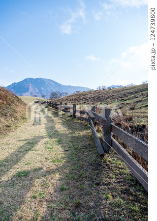 野焼き跡の阿蘇の風景 124739800