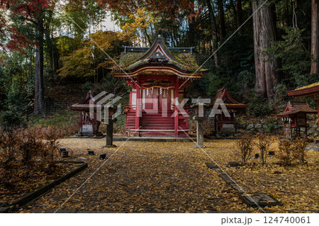 紅葉の談山神社 末社・比叡神社本殿の紅葉の落葉 紅葉の談山神社 末社・比叡神社本殿の紅葉の落葉 124740061