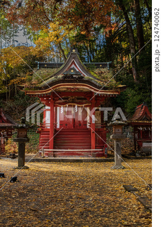 紅葉の談山神社 末社・比叡神社本殿の紅葉の落葉 紅葉の談山神社 末社・比叡神社本殿の紅葉の落葉 124740062