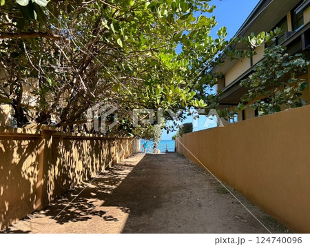 ビーチへの小道 124740096