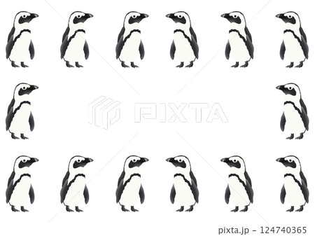 かわいいケープペンギンのフレームイラスト 124740365