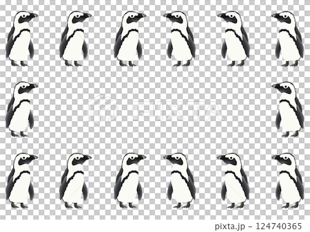 かわいいケープペンギンのフレームイラスト 124740365