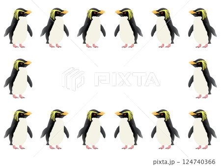 かわいいキタイワトビペンギンのフレームイラスト 124740366