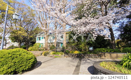 桜咲く山手西洋館 124740511
