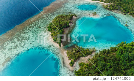 Tropical landscape with blue ocean lagoon in East Indonesia. Aerial view Tropical landscape with blue ocean lagoon in East Indonesia. Aerial view 124741006