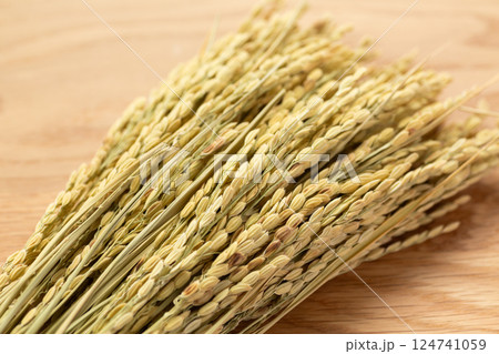 お米の稲穂 124741059