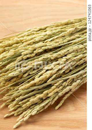 お米の稲穂 124741063