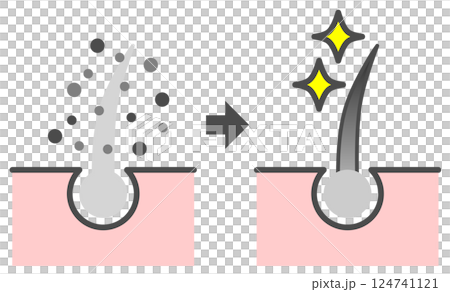 Cross-sectional diagram of a hair dye that dyes gray hair to make it black 124741121