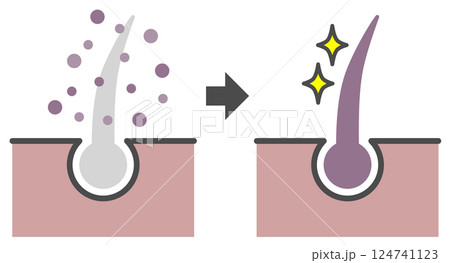 白髪染めをして黒髪にする白髪染めの断面説明図 白髪染めをして黒髪にする白髪染めの断面説明図 124741123
