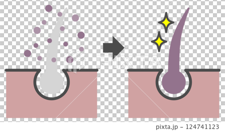 Cross-sectional diagram of a hair dye that dyes gray hair to make it black 124741123