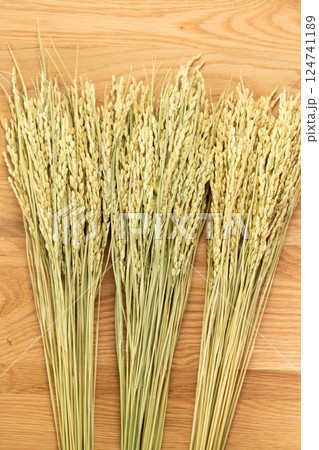 お米の稲穂 124741189