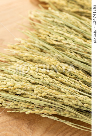 お米の稲穂 124741268