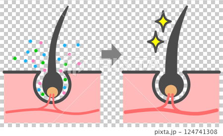 Cross-section of a hair growth agent penetrating the hair roots to promote healthy, black hair growth 124741308