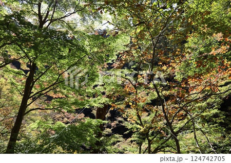 昇仙峡の紅葉の始まり 昇仙峡の紅葉の始まり 124742705