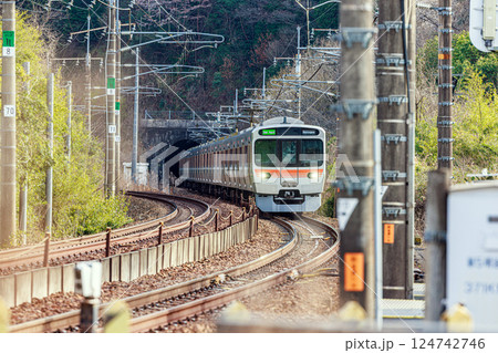 トンネルから出てくる315系 124742746
