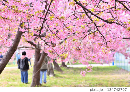 桜の木の下で花見をする人々 124742797