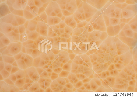 Onice Nuvolato background, excellent texture in stylish beige color. Onice Nuvolato background, excellent texture in stylish beige color. 124742944