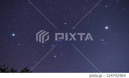 オリオン座 124742964
