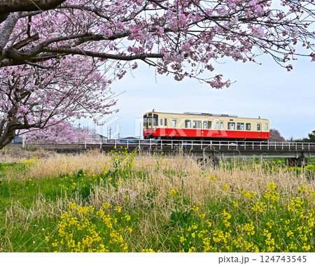 関東鉄道のディーゼルカー 関東鉄道のディーゼルカー 124743545