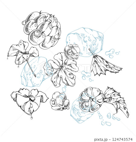 Cloudberry raspberry flying in water wave splash, ice cubes, plant leaves and drops, hand drawn vector ink, ripe summer forest berry. Isolated illustration for restaurant, cafe menu, farmers market Cloudberry raspberry flying in water wave splash, ice cubes, plant leaves and drops, hand drawn vector ink, ripe summer forest berry. Isolated illustration for restaurant, cafe menu, farmers market 124743574