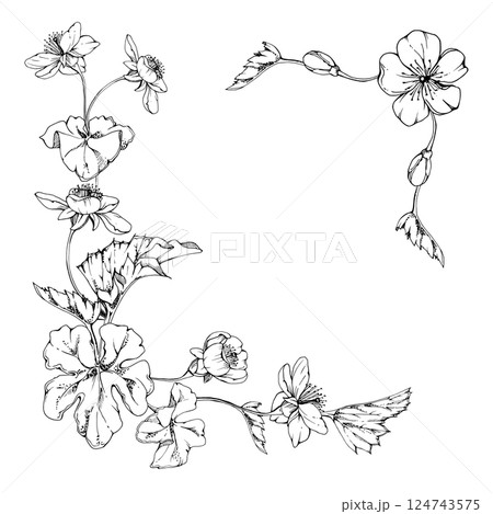 Spring white apple cherry sakura flowers with leaves, forest cloudberry anemone primrose ephemera, hand drawn vector ink. Corner frame isolated illustration, for wedding, florist shop, scrapbooking Spring white apple cherry sakura flowers with leaves, forest cloudberry anemone primrose ephemera, hand drawn vector ink. Corner frame isolated illustration, for wedding, florist shop, scrapbooking 124743575