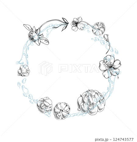 Cloudberry raspberry white flowers flying in water splashes drops, hand drawn vector ink, line forest berry leaves. Circle wreath frame illustration. Restaurant cafe menu, farmers market, juice bar Cloudberry raspberry white flowers flying in water splashes drops, hand drawn vector ink, line forest berry leaves. Circle wreath frame illustration. Restaurant cafe menu, farmers market, juice bar 124743577