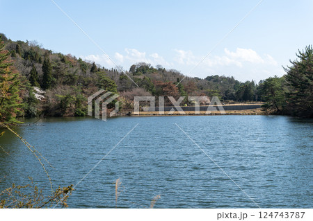 日本の岡山県玉野市の深山公園の満開の桜 日本の岡山県玉野市の深山公園の満開の桜 124743787