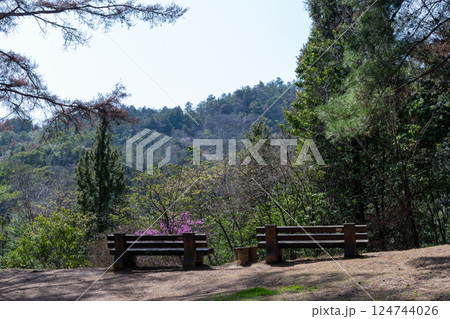 日本の岡山県玉野市の深山公園の美しいヤマツツジ 日本の岡山県玉野市の深山公園の美しいヤマツツジ 124744026