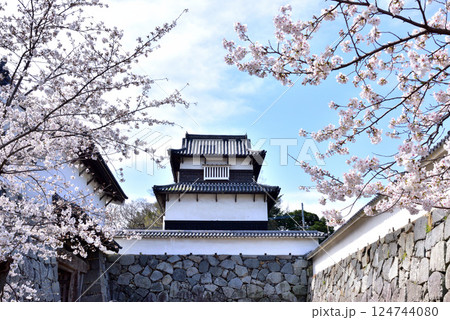 春の福岡城址 福岡城さくらまつり 下之橋御門 潮見櫓 春の福岡城址 福岡城さくらまつり 下之橋御門 潮見櫓 124744080
