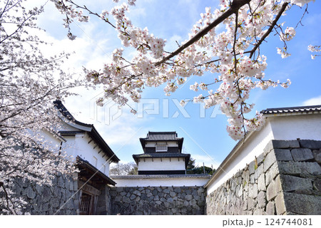 春の福岡城址 福岡城さくらまつり 下之橋御門 潮見櫓 春の福岡城址 福岡城さくらまつり 下之橋御門 潮見櫓 124744081