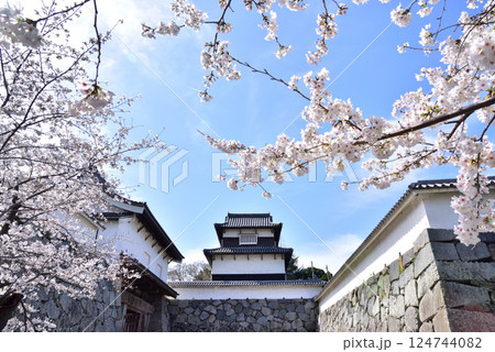 春の福岡城址　福岡城さくらまつり　下之橋御門　潮見櫓　 124744082