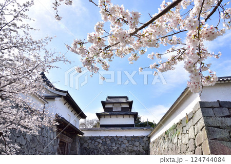 春の福岡城址　福岡城さくらまつり　下之橋御門　潮見櫓　 124744084