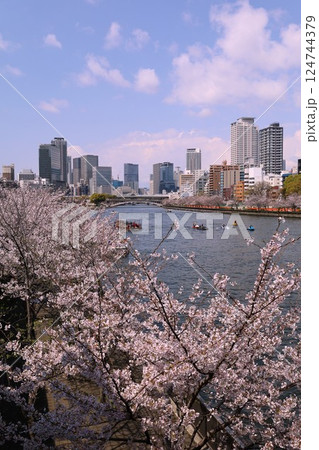 大阪、なにわ、天満橋、三軒家、桜並木、造幣局、通りぬけ、水上バス、桜クルーズ、中ノ島 124744379