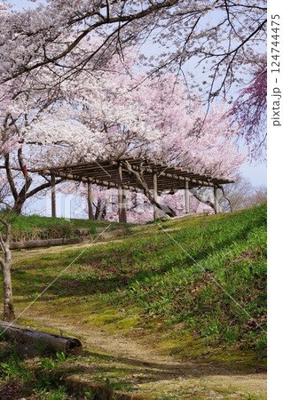 大草城址公園(長野県上伊那郡) 大草城址公園(長野県上伊那郡) 124744475
