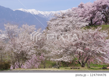 大草城址公園(長野県上伊那郡) 大草城址公園(長野県上伊那郡) 124744476