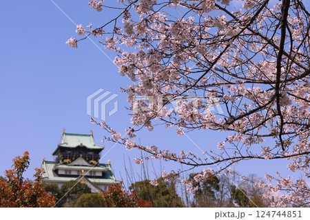 大阪城、桜の公園、満開の桜と大阪城の競演、大阪城に浮かぶ満開の桜、大阪城の春の風物詩、大阪城桜物語 124744851
