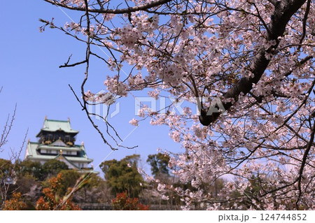 大阪城、桜の公園、満開の桜と大阪城の競演、大阪城に浮かぶ満開の桜、大阪城の春の風物詩、大阪城桜物語 124744852