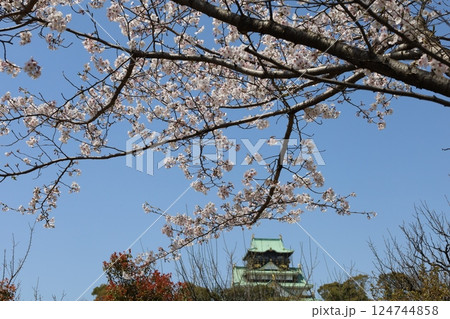 大阪城、桜の公園、満開の桜と大阪城の競演、大阪城に浮かぶ満開の桜、大阪城の春の風物詩、大阪城桜物語 124744858