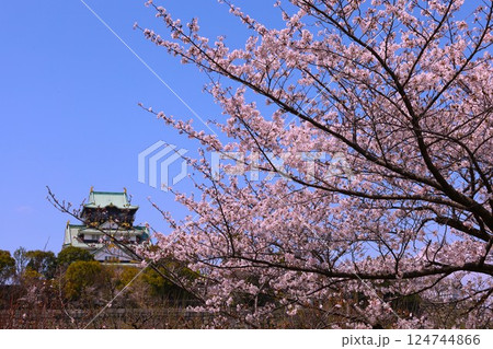 大阪城、桜の公園、満開の桜と大阪城の競演、大阪城に浮かぶ満開の桜、大阪城の春の風物詩、大阪城桜物語 124744866