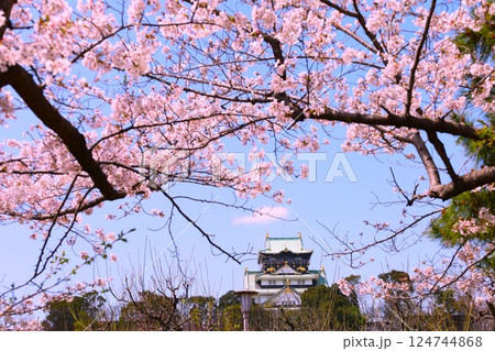 大阪城、桜の公園、満開の桜と大阪城の競演、大阪城に浮かぶ満開の桜、大阪城の春の風物詩、大阪城桜物語 124744868